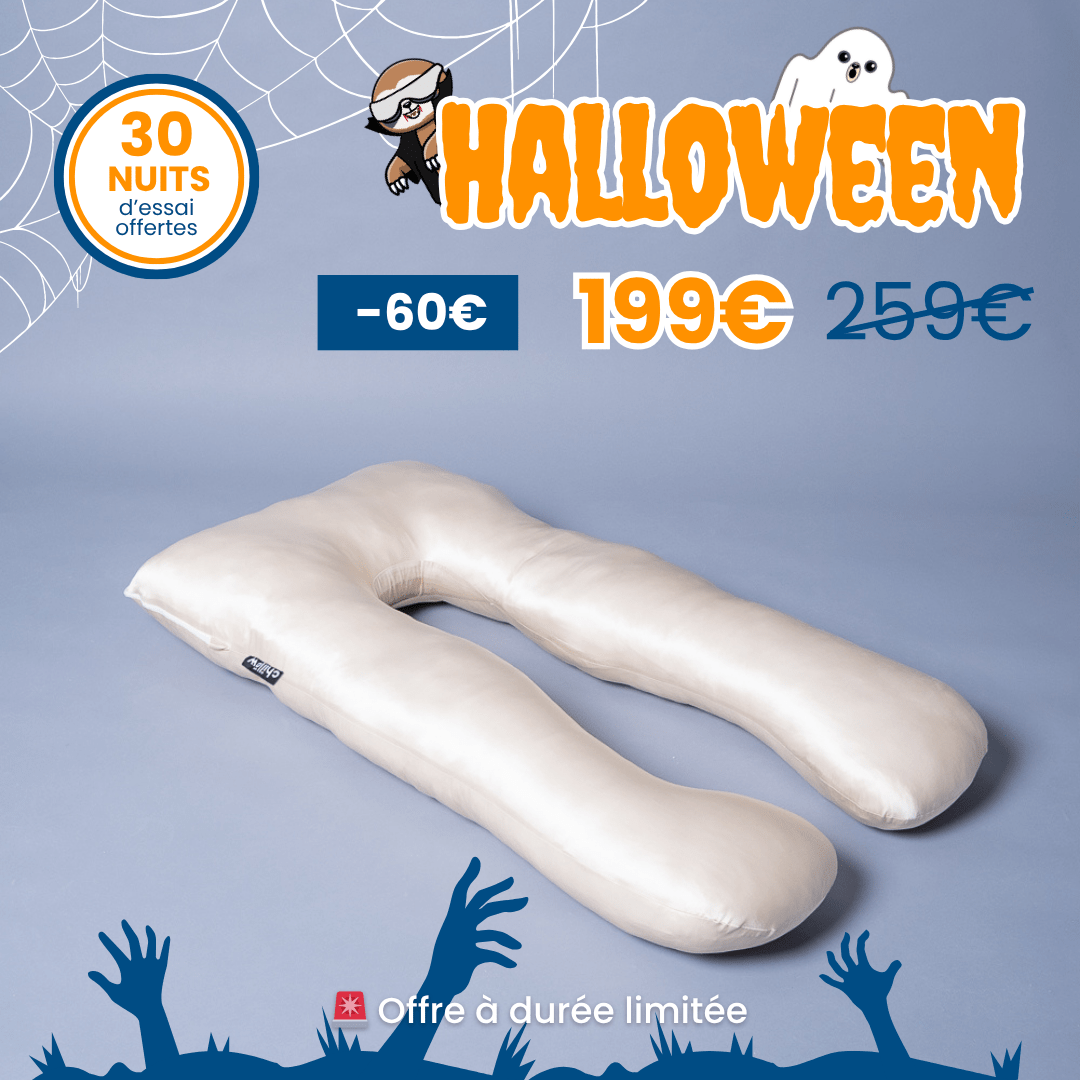 Chillow 100% PURE SOIE DE MÛRIER